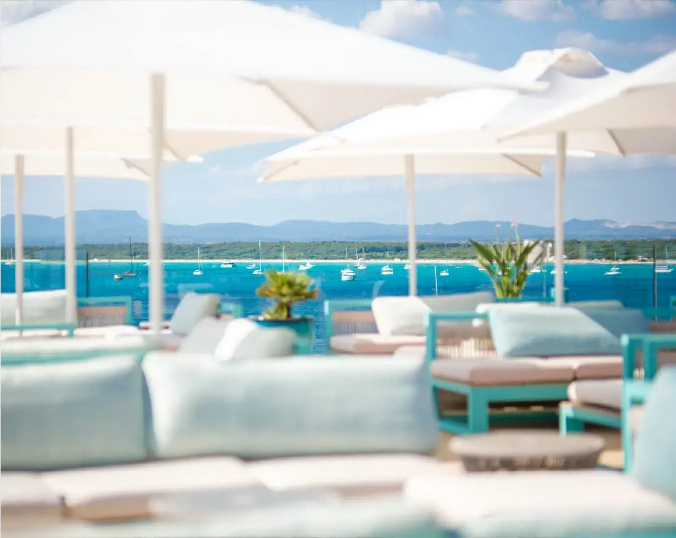 Basking in efficiency Villa Chiquita thrives with Mews Website body Image 4 1076 x 1352-50