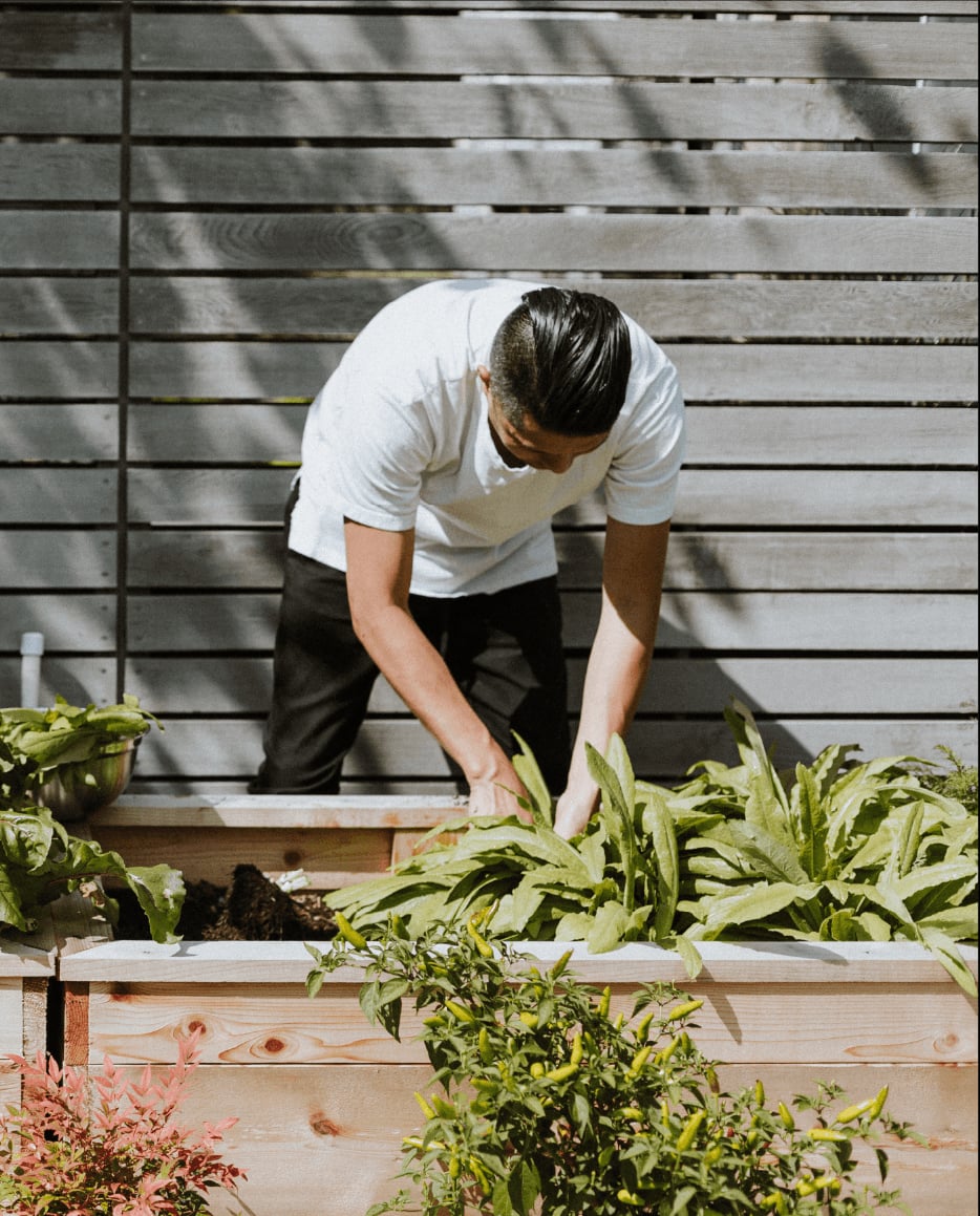 Eco Hotels_933x1158 - Body image-1