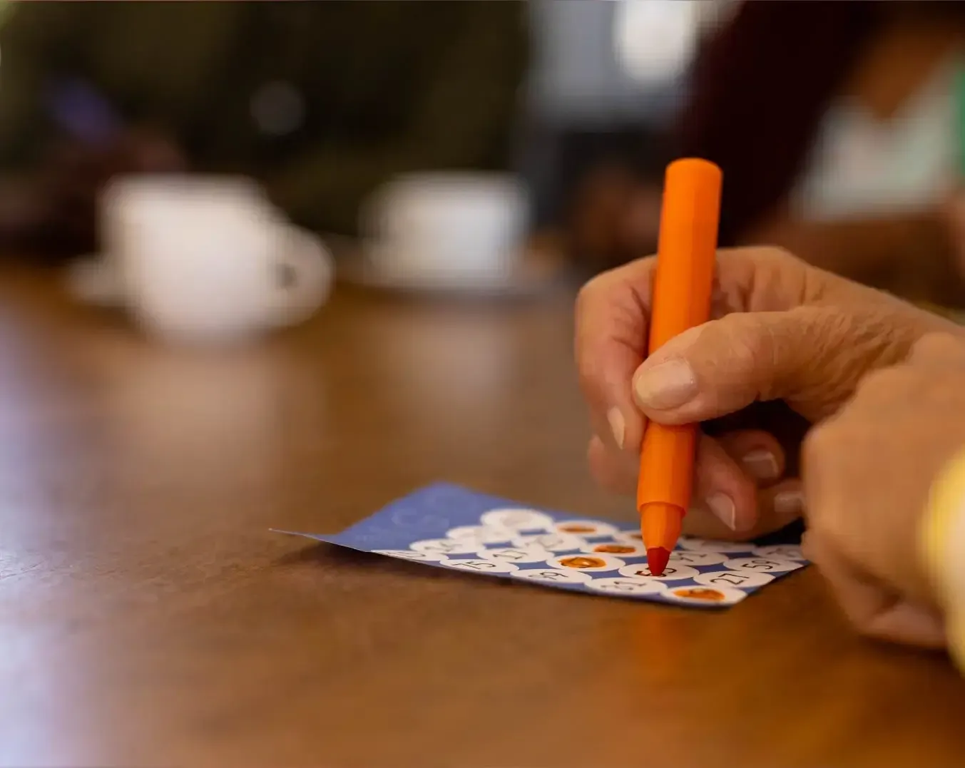 animacion para la tercera edad